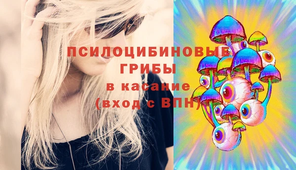 экстази Няндома