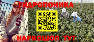таблы Краснодар