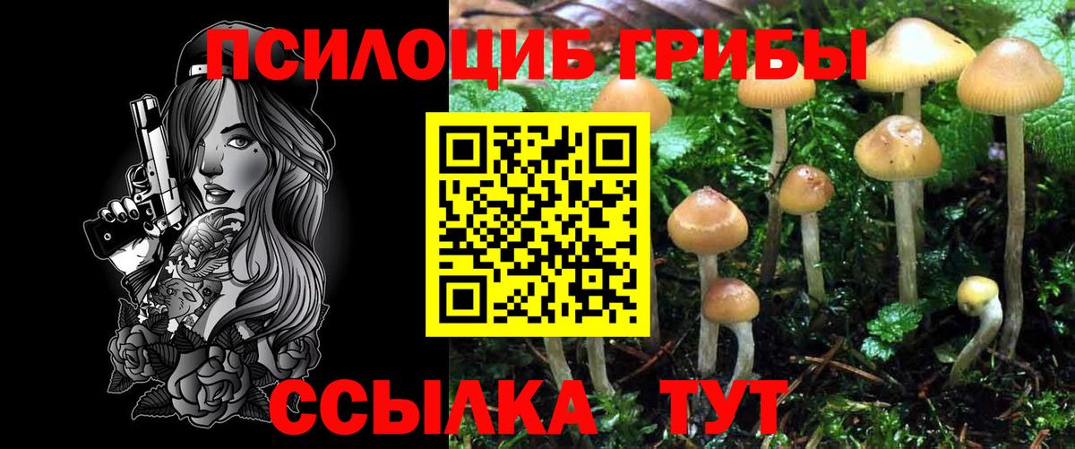 Галлюциногенные грибы мицелий  Вход с VPN  Калининград 