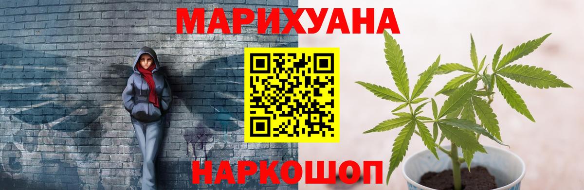 Бошки Шишки планчик Калининград